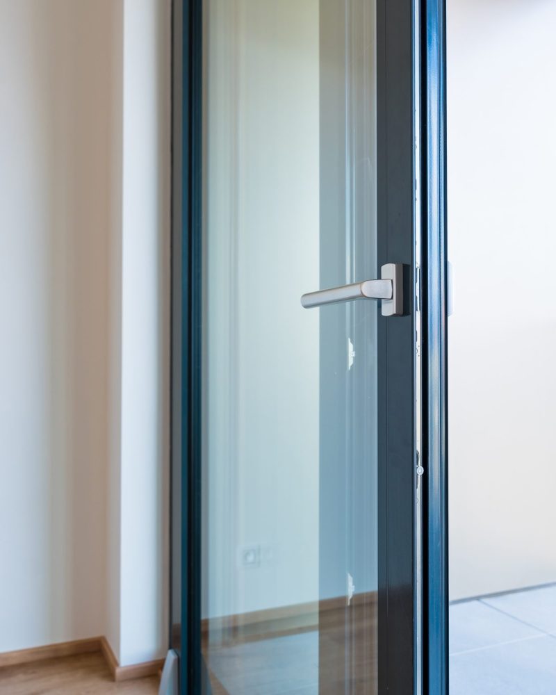 Modern glass door